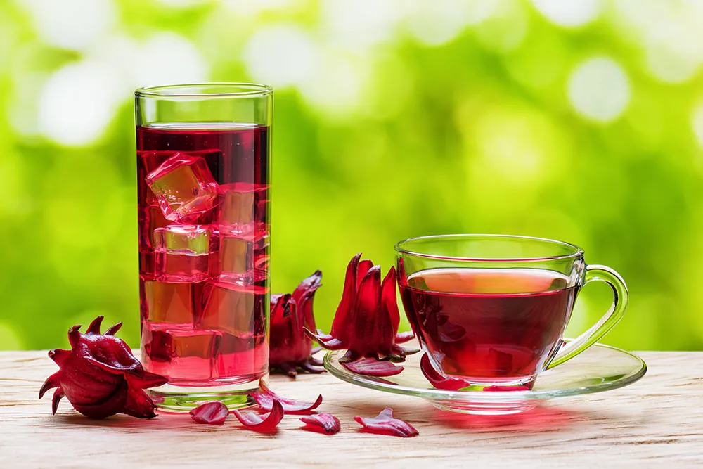 roselle flower