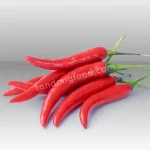 Red chilli 2