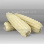 boiled corn 1
