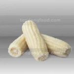 frozen boiled corn