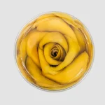 soft dried mango 1