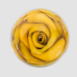 soft dried mango