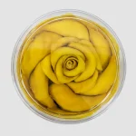 soft dried mango