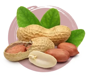 Nuts & Seeds