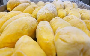 frozen durian